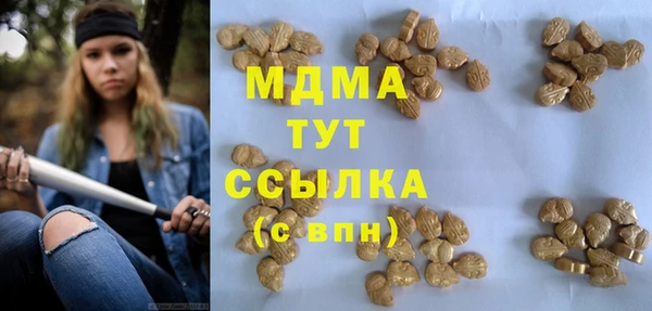ГАЛЛЮЦИНОГЕННЫЕ ГРИБЫ Алзамай
