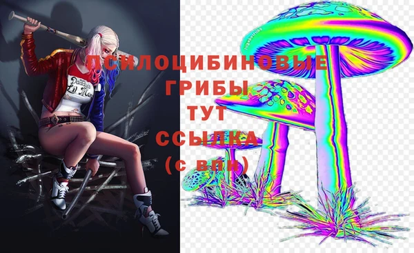 ГАЛЛЮЦИНОГЕННЫЕ ГРИБЫ Алзамай