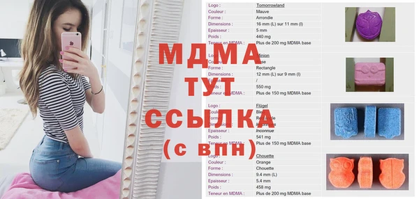 ГАЛЛЮЦИНОГЕННЫЕ ГРИБЫ Алзамай